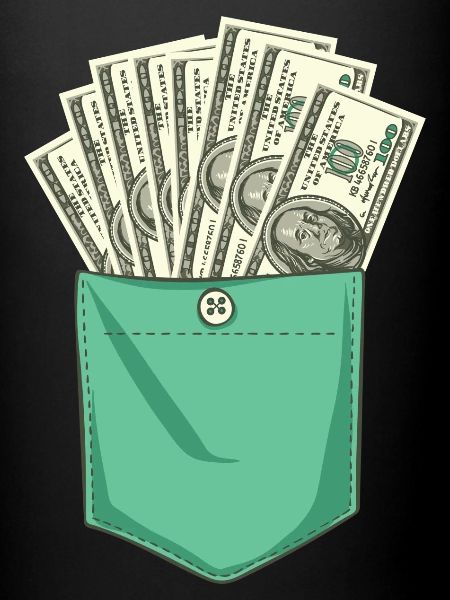 Dollar pocket source
