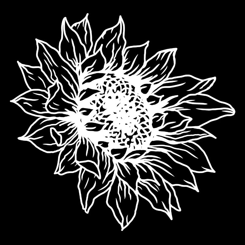 Sonnenblume