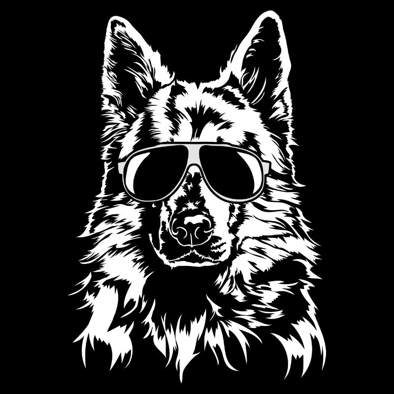 Berger Blanc Suisse chiens Wilsigns cool