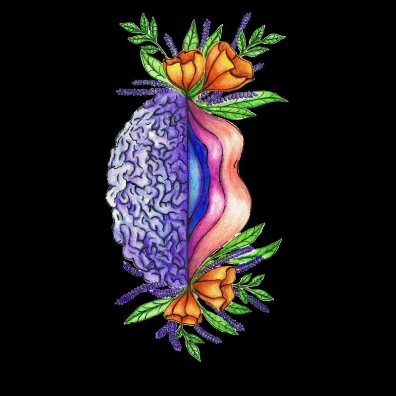 Vulva brain
