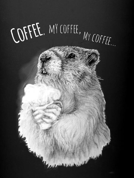 Coffee hamster enjoyment