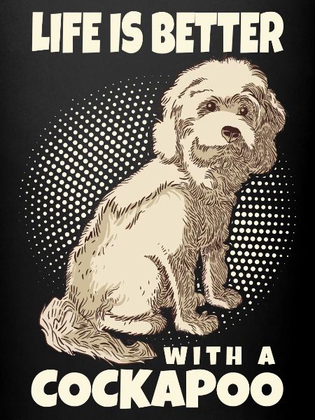 Cockapoo