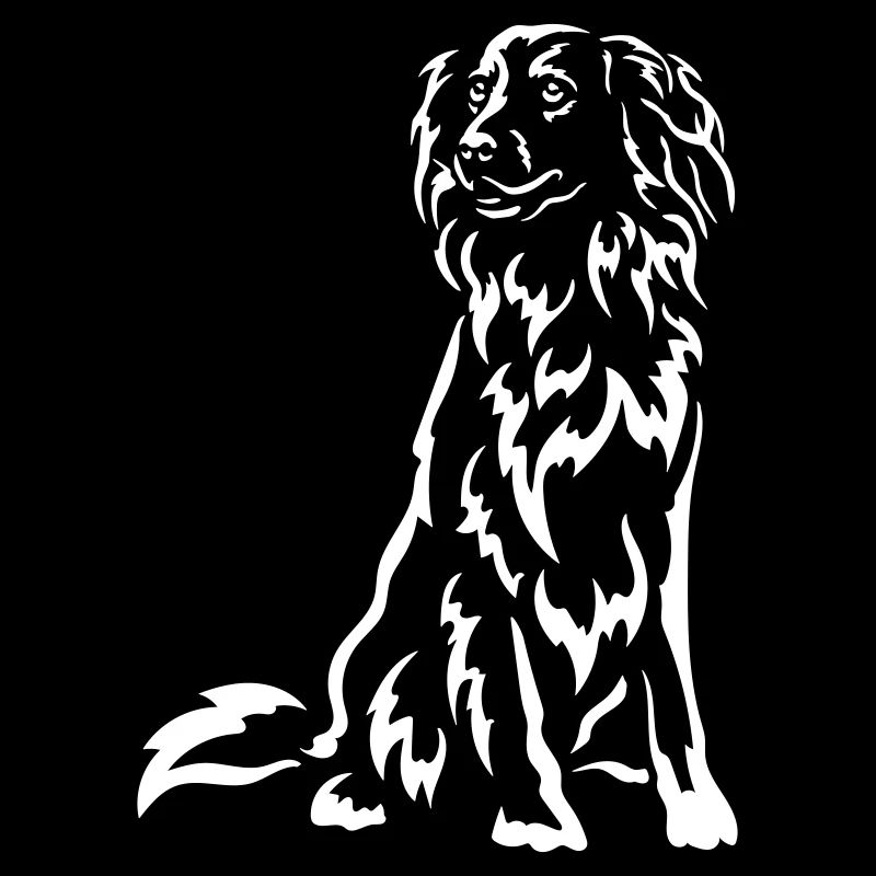 Duck Tolling Retriever "Black Edition"