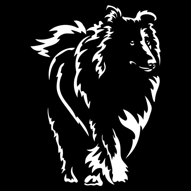 Collie « Édition Noire »