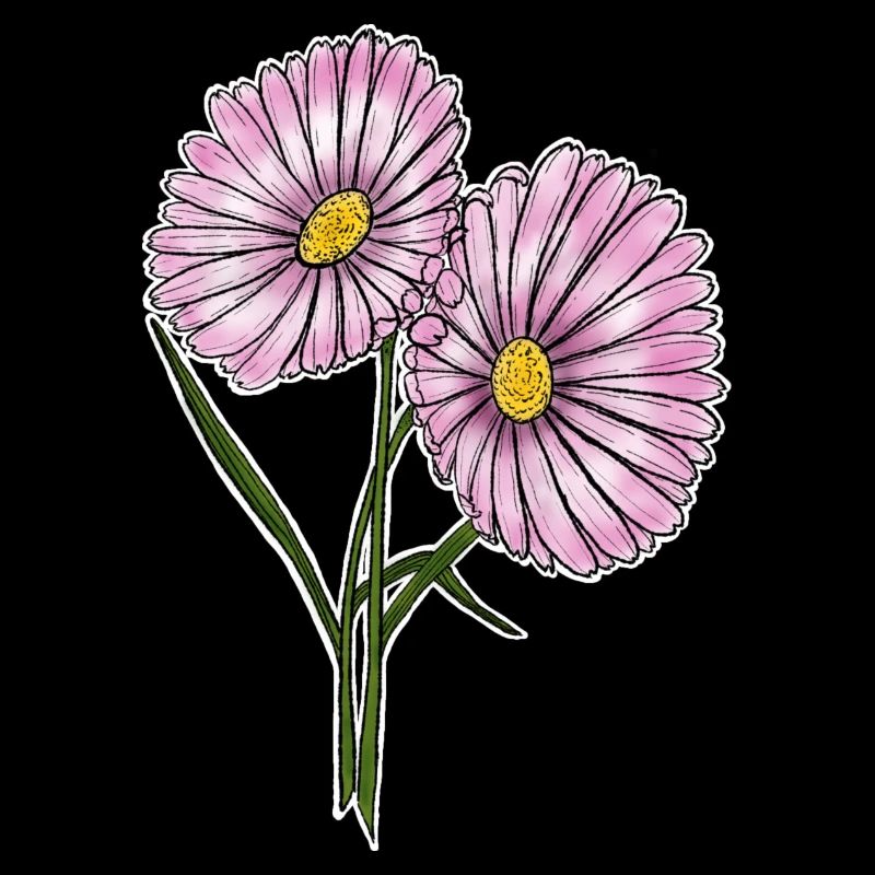 Gänseblümchen