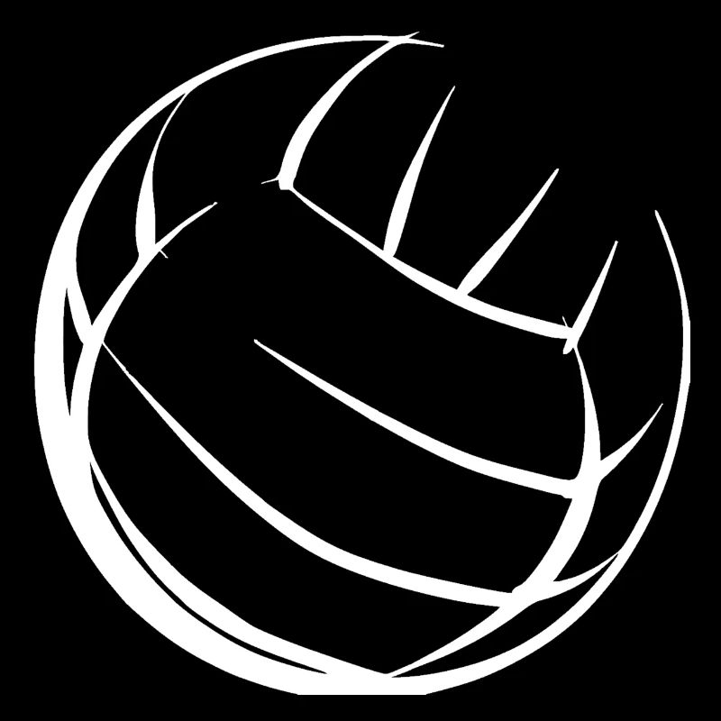 Volley-ball blanc