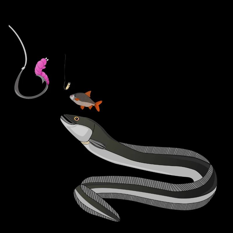Aalrounder - Fishyworm - Pêche de l'anguille