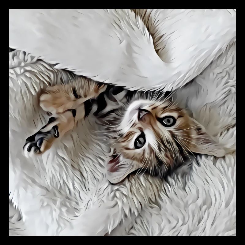 Cute little kitten lying upside down on the back