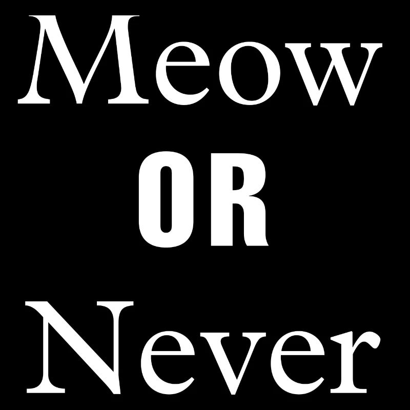 Meow or Never