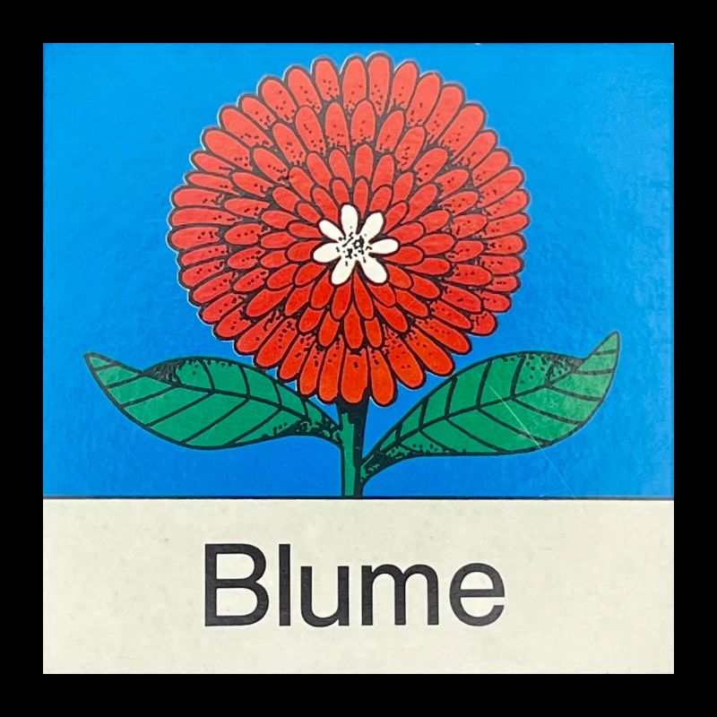 Blume