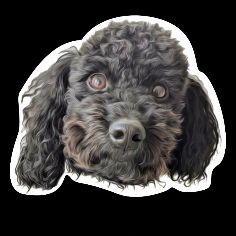 Poodle head black