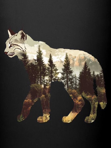 Luchs