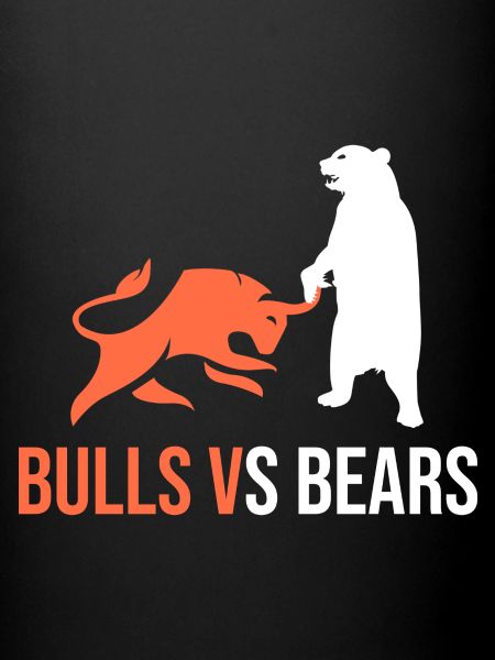 Taureaux VS Ours