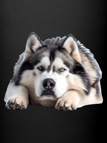 Malamute d’Alaska