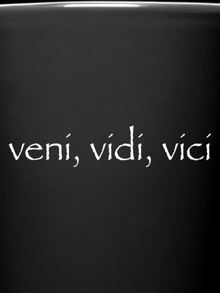 Veni Vidi Vici