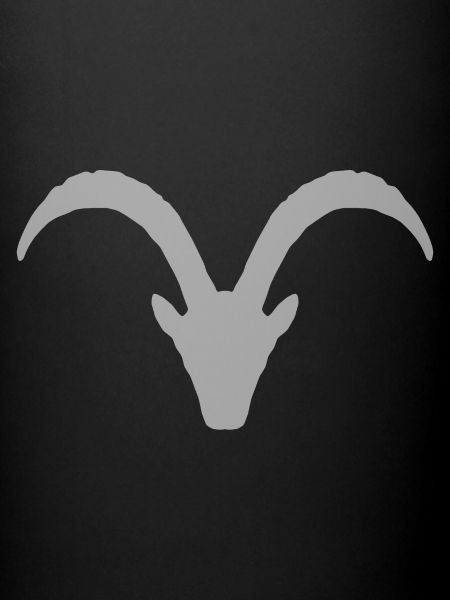 Capricorne