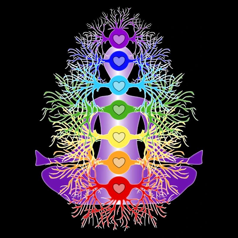 Chakras with their roots