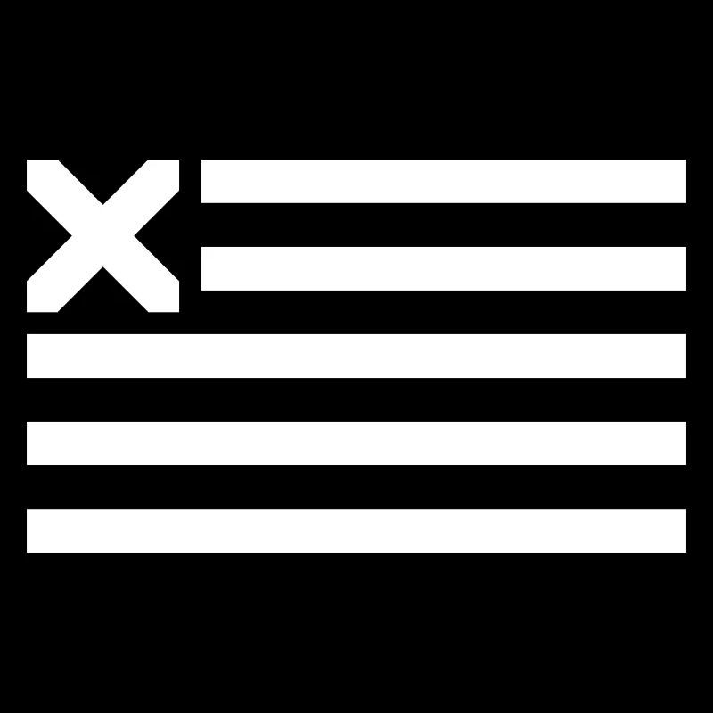 Drapeau des États-Unis X