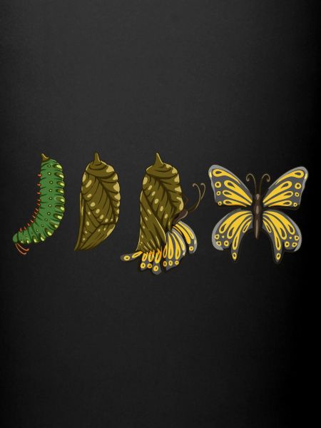 Chenille