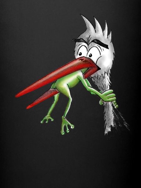 Cigogne à la grenouille