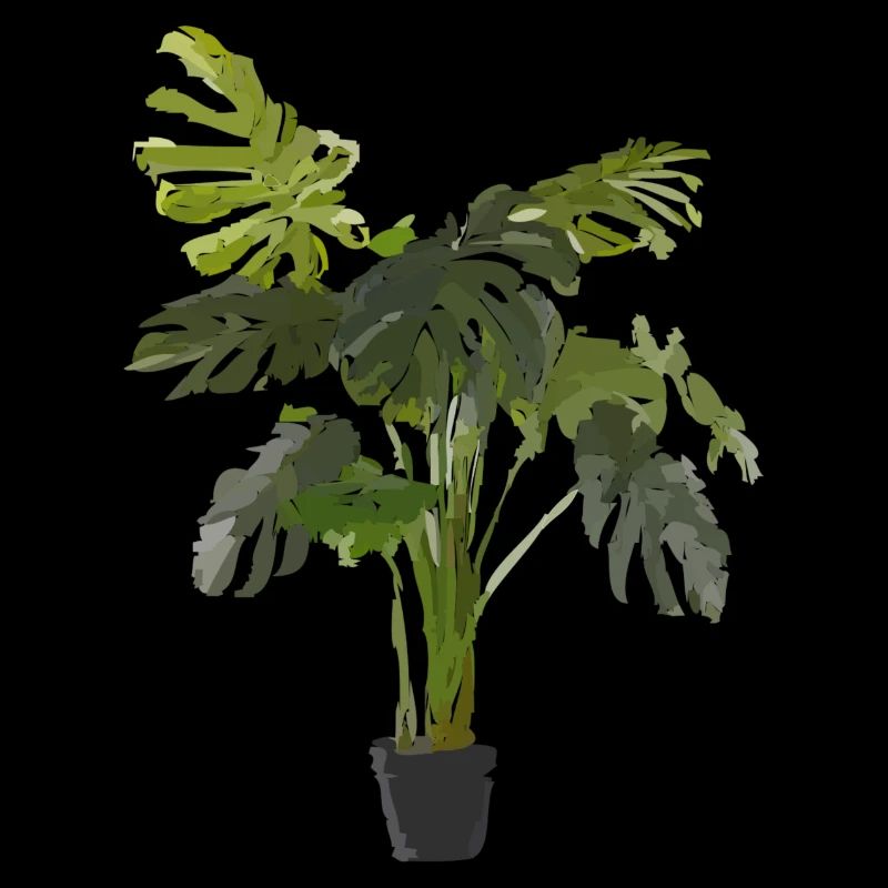 Plante d’intérieur
