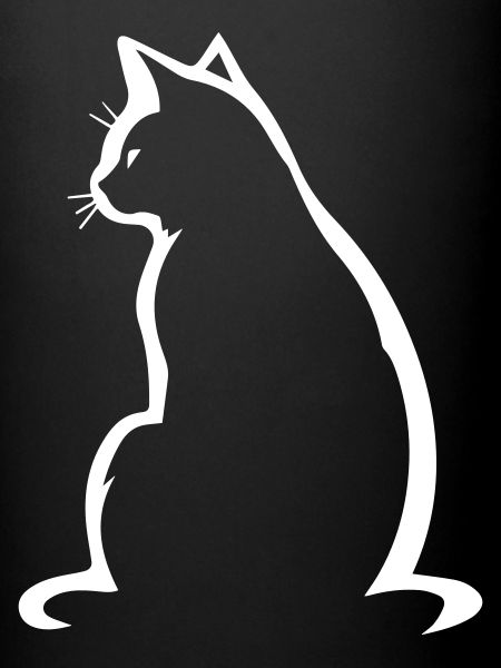 Katze