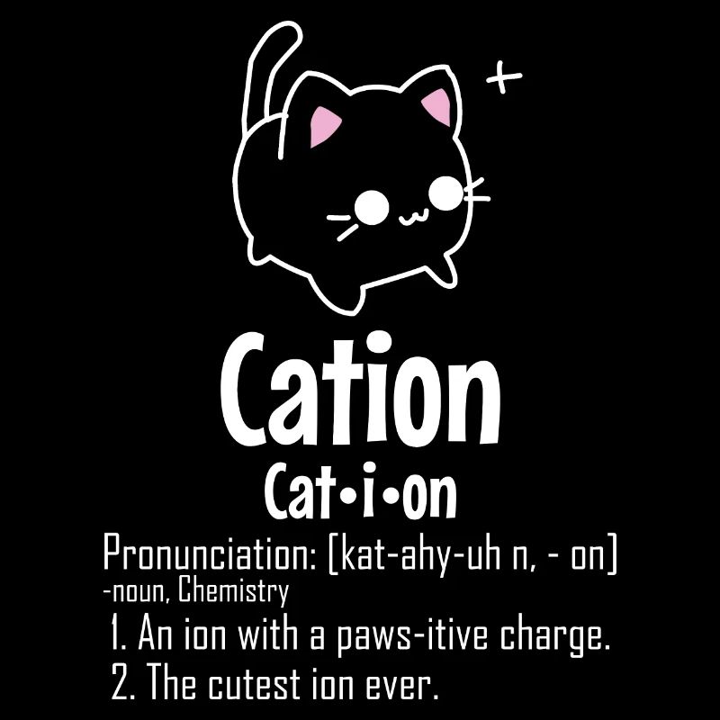 Cation Chemist Physicist Funny Gift Cat