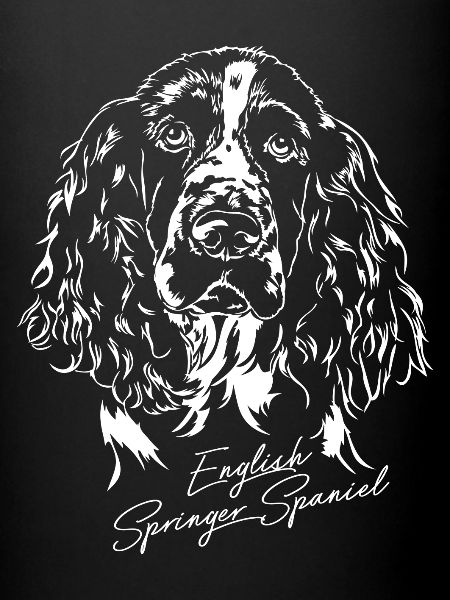 ANGLAIS springer spaniel