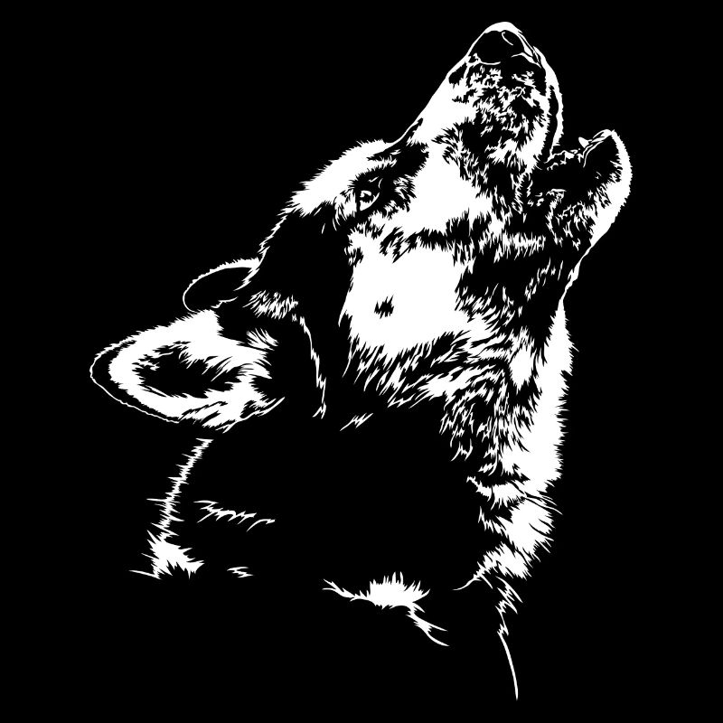 SIBERIAN HUSKY heulend Schlittenhunde Wilsigns