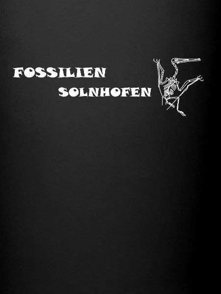 Dinosaurs, fossils, paleontologist,