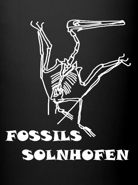 Dinosaures, fossiles, paléontologue,
