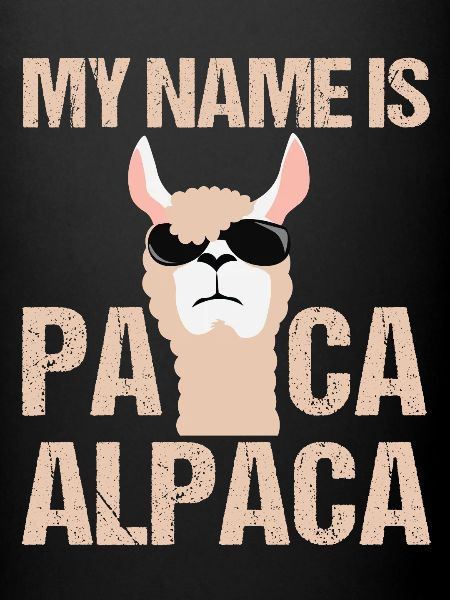Cool alpaca