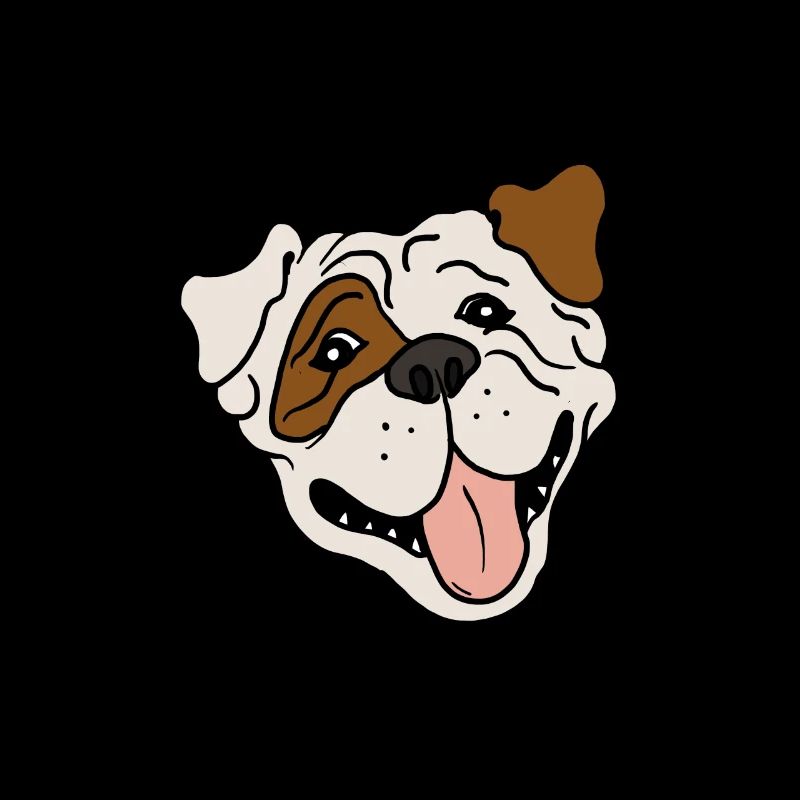 Bouledogue américain