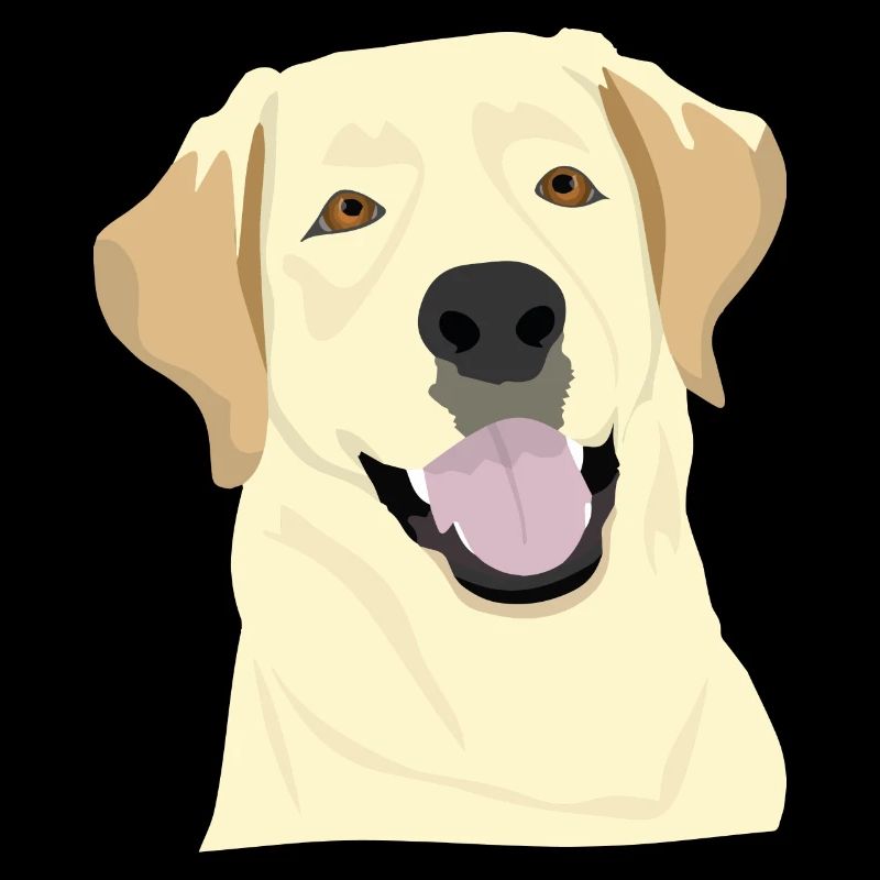 Labrador