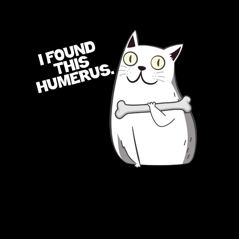 Katze Knochen Humerus