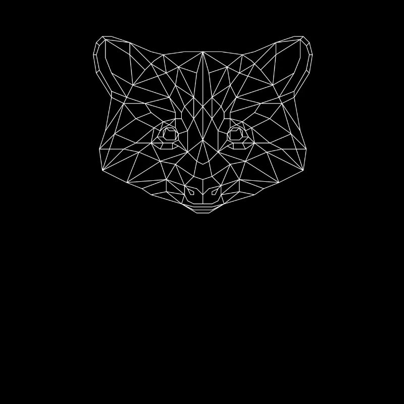 racoon