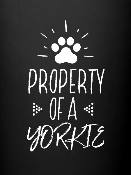 Propriété d’un Yorkie