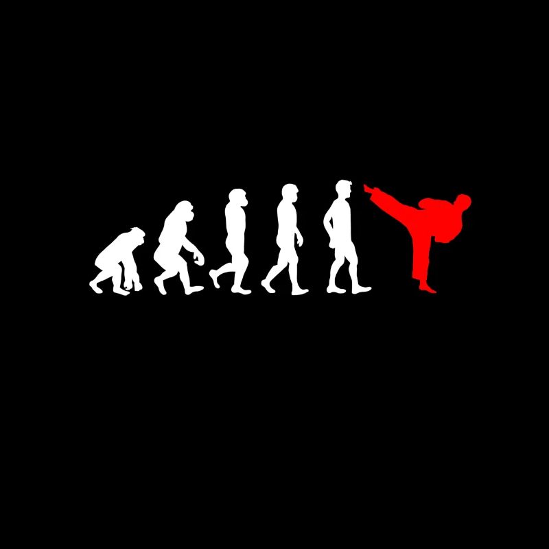 Karaté Développement - Evolution d'un combattant de karaté