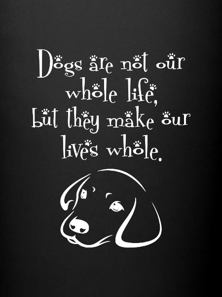 Chiens notre vie