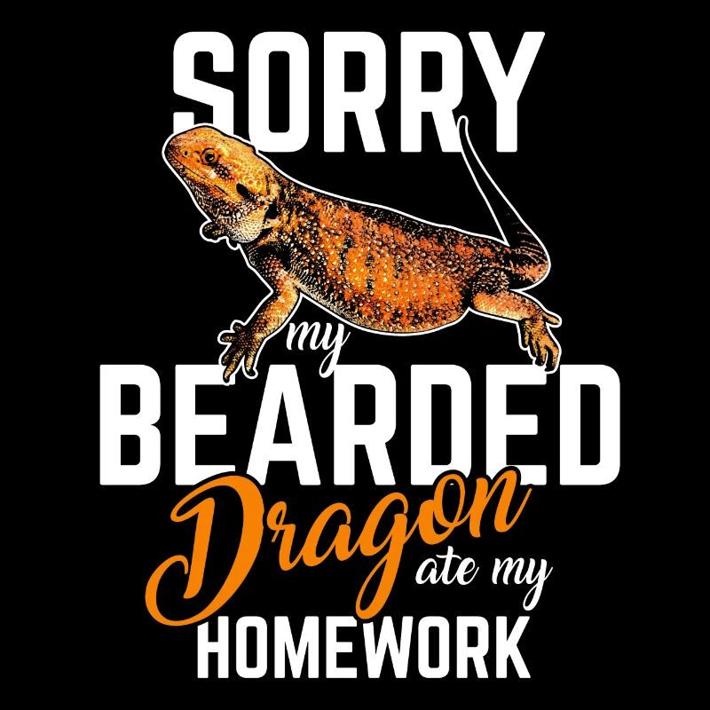 bearded dragon