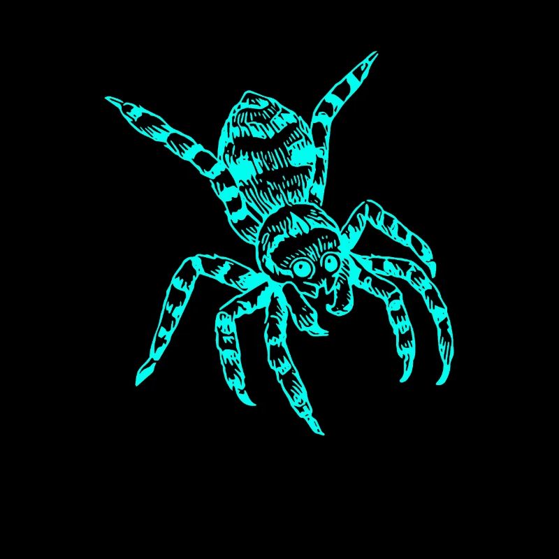Vogelspinne