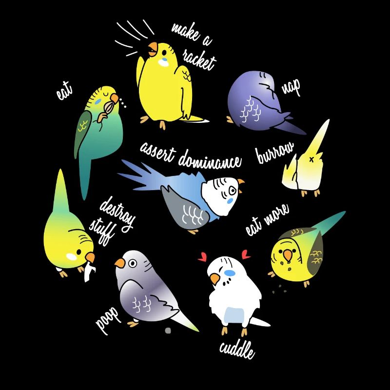 Perroquet canari perruche