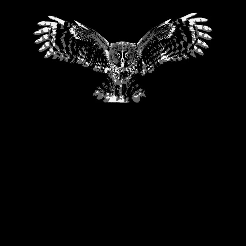 owl