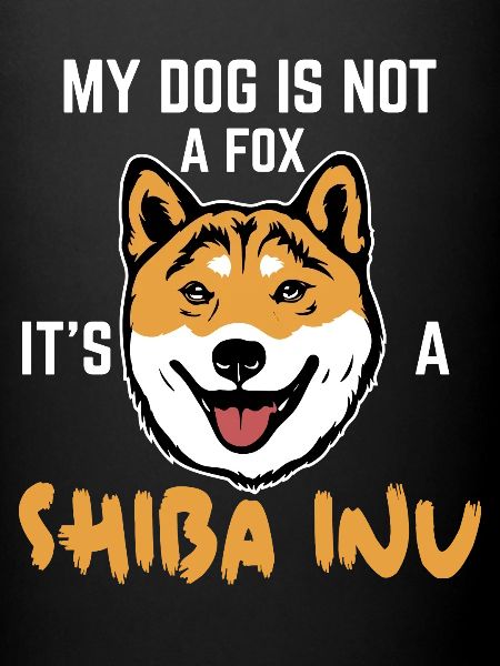 shiba inu