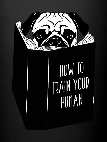 Chien carlin
