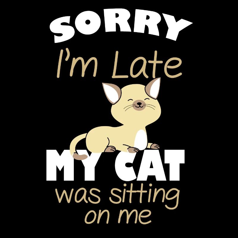 Katze