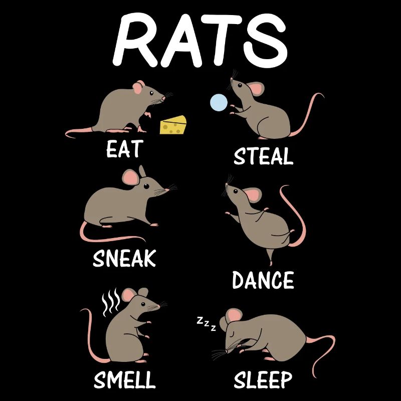 Rat amoureux rat