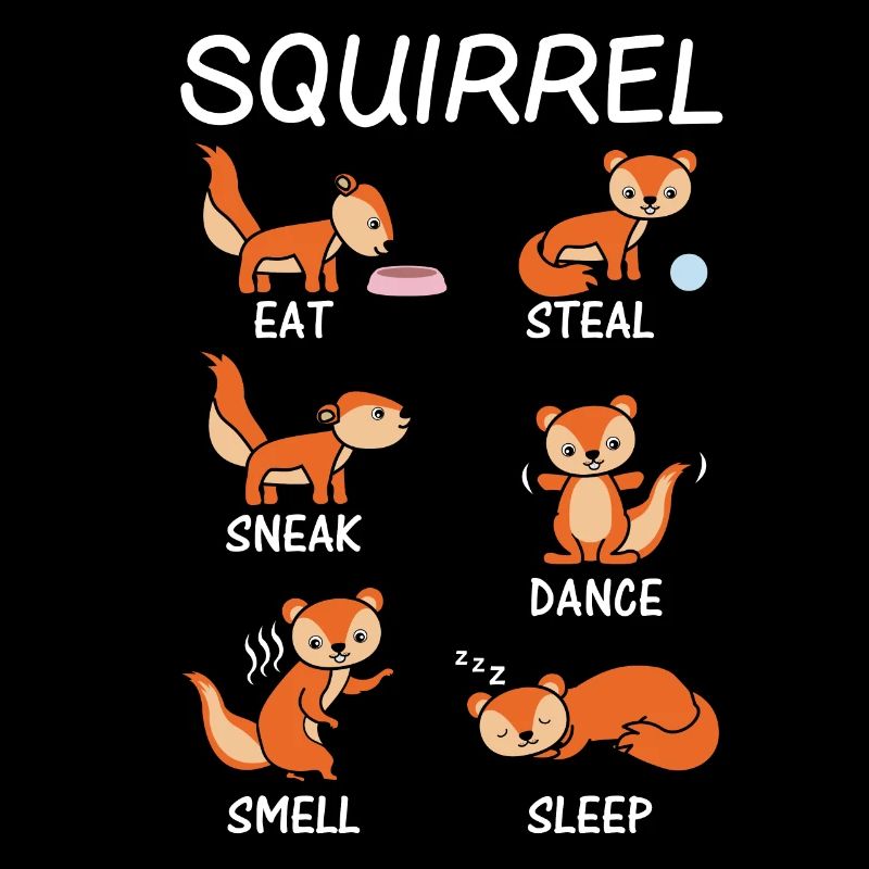 écureuil