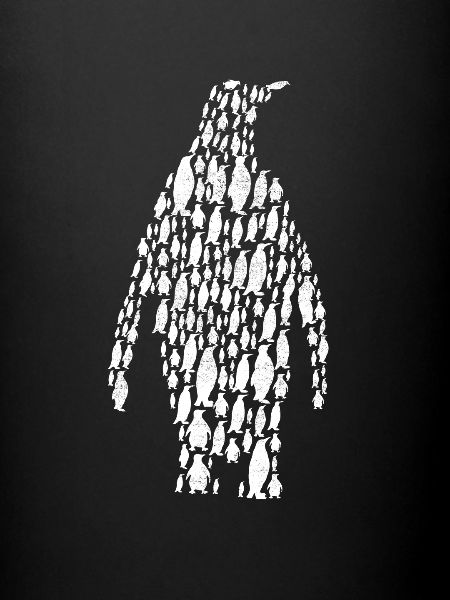 Penguin Antarctic
