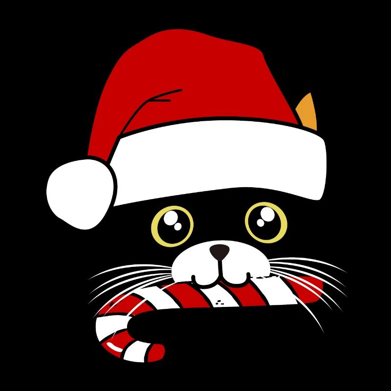 chat noel